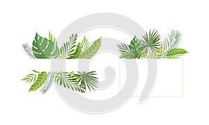 Border Line with Green Tropical Leaves and Jungle Foliage Vector Set