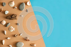 The border is made of shells, sea pebbles and driftwood on a light blue and beige background.