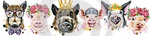 Border from pigs. Watercolor portraits of pigs and boars