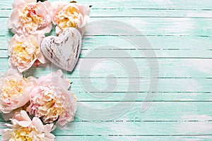 Border from pink peonies flowers and decorative heart on turqu photo