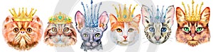 Border of portraits of cats of different breeds in crowns. Watercolor hand drawn illustration