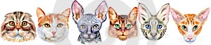 Border of portraits of cats of different breeds. Watercolor hand drawn illustration