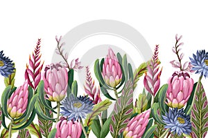 Border with proteas flowers. Trendy floral vector print.