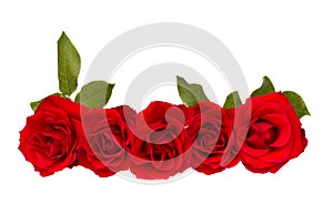 Border of red roses photo