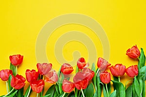 Border of red tulips on a yellow background. Beautiful greeting card. Holidays concept. Copy space, top view
