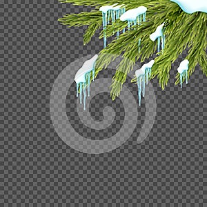 Border with relistic firtree, snow and icicles over transparent background.