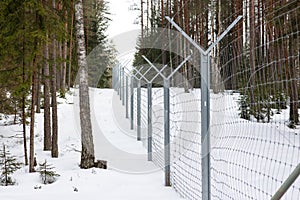 The border of the reserve in a dense winter snowy forest.
