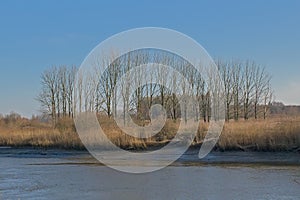 Border of river Scheldt in the flemish countryside