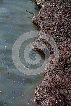 Border of sea and rocks. Sea rocks texture