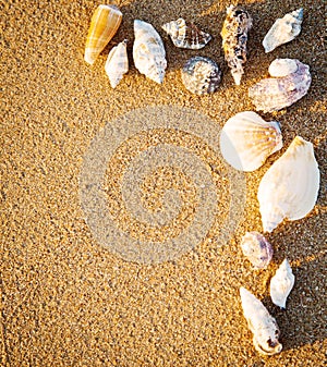 Border from seashells on sand