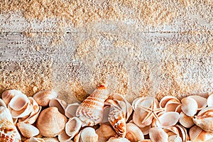 Border of seashells on sandy wooden boards