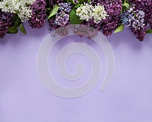 Border of spring flowers of fragrant lilac Syringa vulgaris on a light purple background.