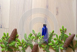 border of spruce cones, leaves and buds for essential oils