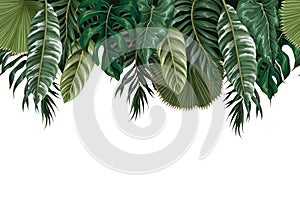 Border with tropical leaves such as monstera, palm leaf and other. Vector