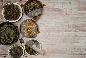 Border of various dried herbs in cups on a light wooden background.