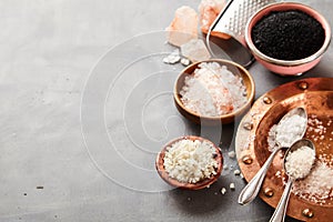 Border of various fresh natural culinary salts