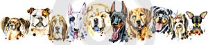 Border from watercolor portraits of dogs for decoration