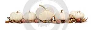 Border of white pumpkins and brown leaves isolated on white