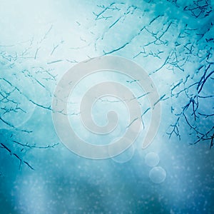 Border winter nature background