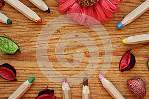 Border of wooden pencils, dry petals and chrysanthemum flower on brown wood background. Top view.