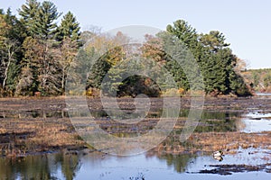 Autumn at Leach Pond in Borderland State Park, Easton MA photo