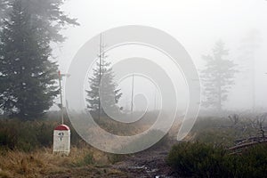 Borderline Bollard Along Footpath in Foggy Forest