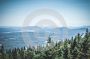 Boreal forest and misty mountains