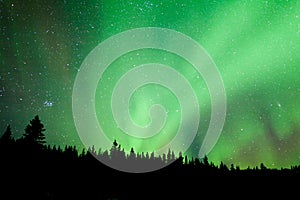 Boreal forest taiga Aurora borealis substorm swirl