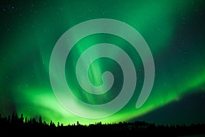 Boreal forest taiga Northern Lights substorm swirl