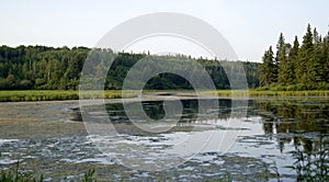 Boreal Forest Watershed