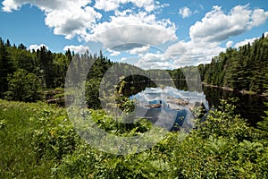 Boreal Forest Wilderness