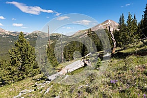 Boreas Mountain 13,082 in Pike National Forest Colorado