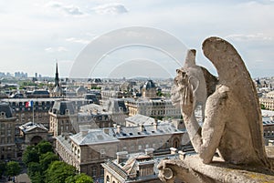 Bored Gargoyle of Notre Dame II.