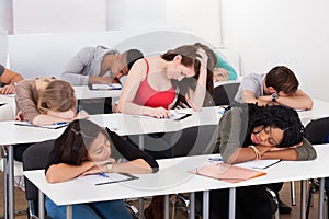 Bored student with classmates sleeping at desk photo