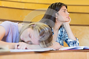 Bored student listening while classmate sleeping