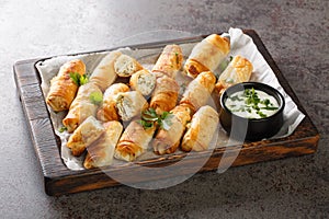 Borek sigara boregi fried pastry wrapped in cheese in phyllo closeup on the wooden board. Horizontal