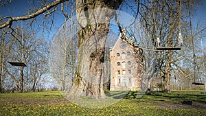 Borgeby Castle Borjes Torn and Swing Tree