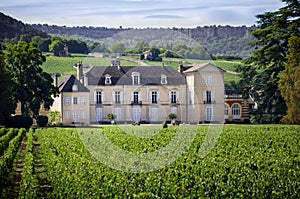 Borgogna, Montrachet. Chateau de Meursault. Cote d`Or. France