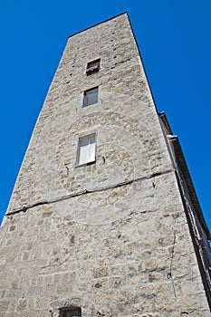 Borgognone tower. Viterbo. Lazio. Italy.