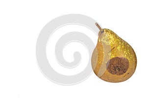 Boring trace of a codling moth Cydia Pomonella, in a wormy pear. On white background.