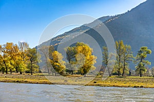 Borjomi in Autumn