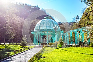 Borjomi park