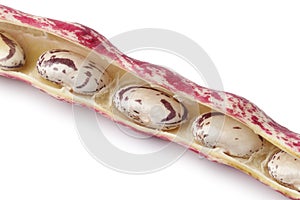 Borlotti beans in the shell