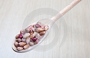 Borlotti beans on a wooden spoon