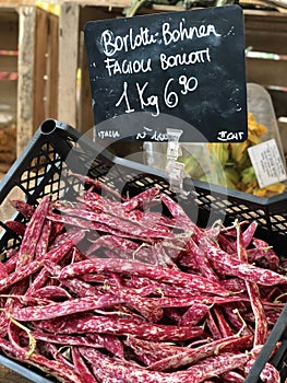 Borlotti Bohnen or Cranberry bean for sale