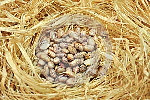 Borlotti dried beans