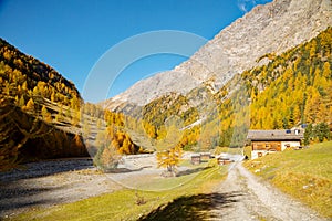 Bormio, Italy, Autumn view of Val Zebr