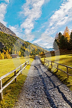 Bormio, Italy, Autumn view of Val Zebr