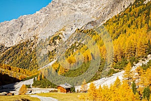 Bormio, Italy, Autumn view of Val Zebr