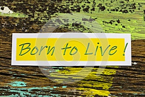 Born to live love shine succeed again enjoy life